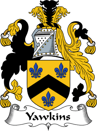Yawkins Coat of Arms