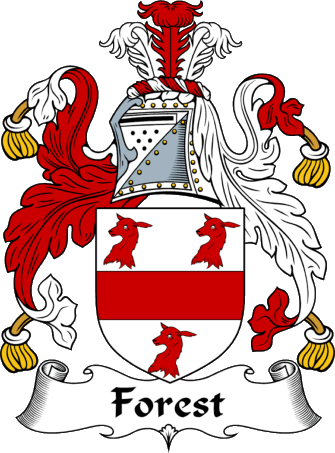 EnglishGathering - The Forest Coat of Arms (Family Crest) and Surname ...