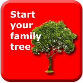 Create your family tree